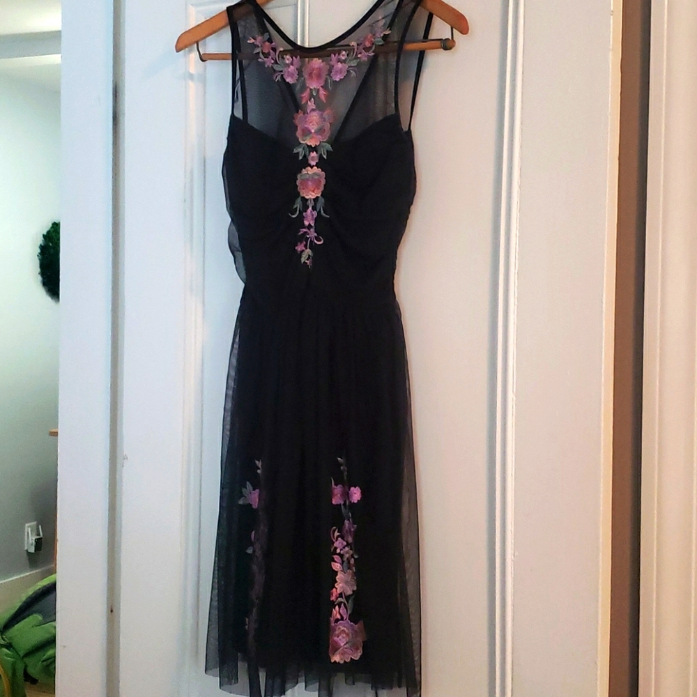 Express embroided dress